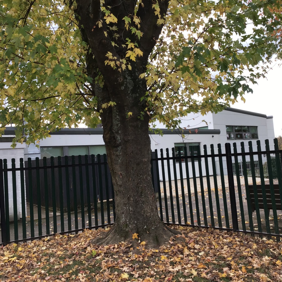 Competition 5 Otters.JPG