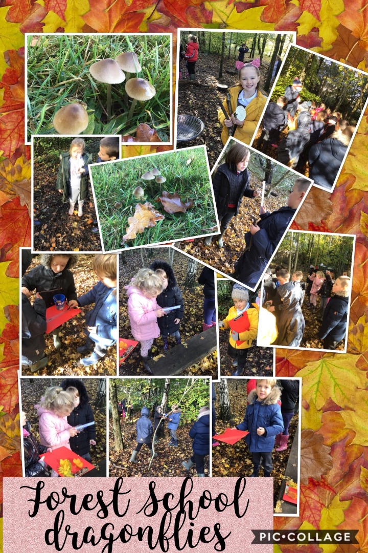 dforest school 2 Dragonflies.JPG