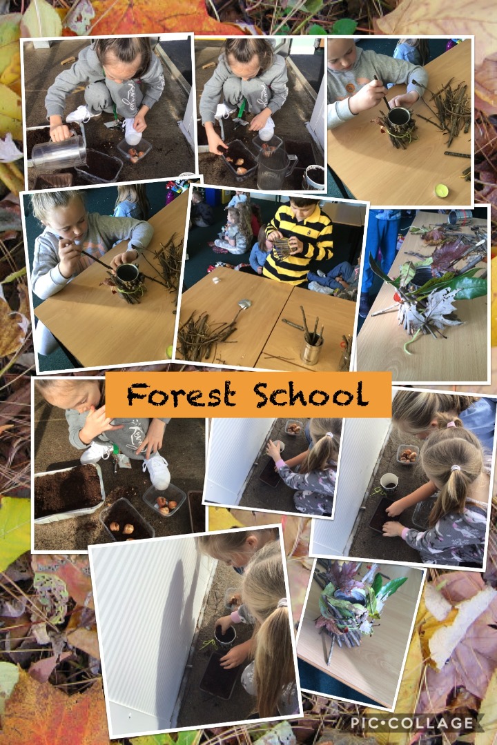 forest school Dragonflies.JPG