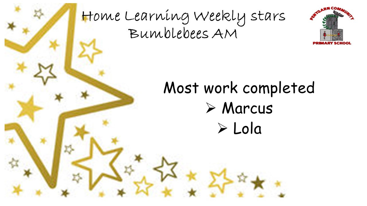 Bumblebee AM Stars.JPG