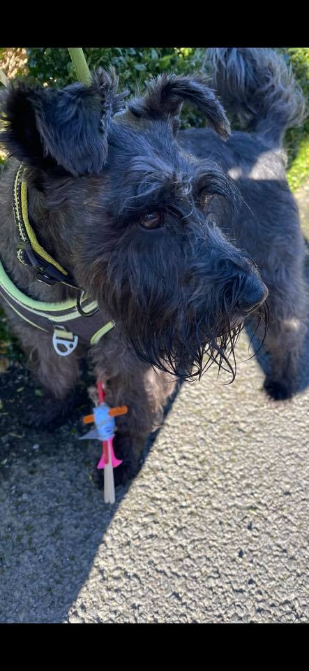 Stick People (2).jpg