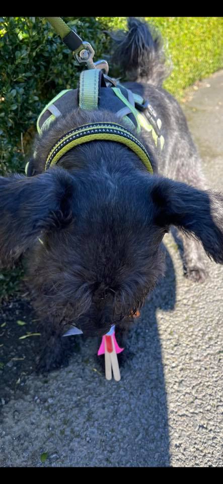 Stick People (3).jpg