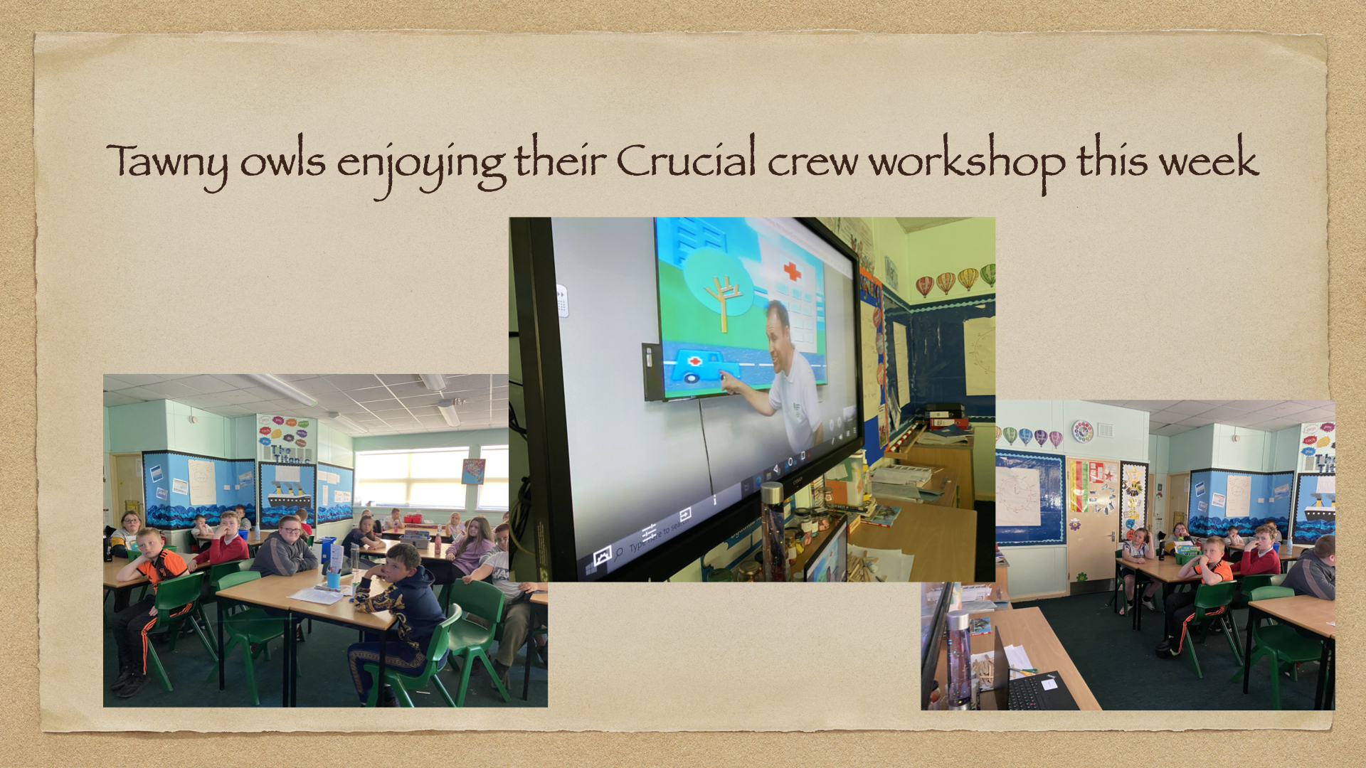 Tawny owls .001.jpeg