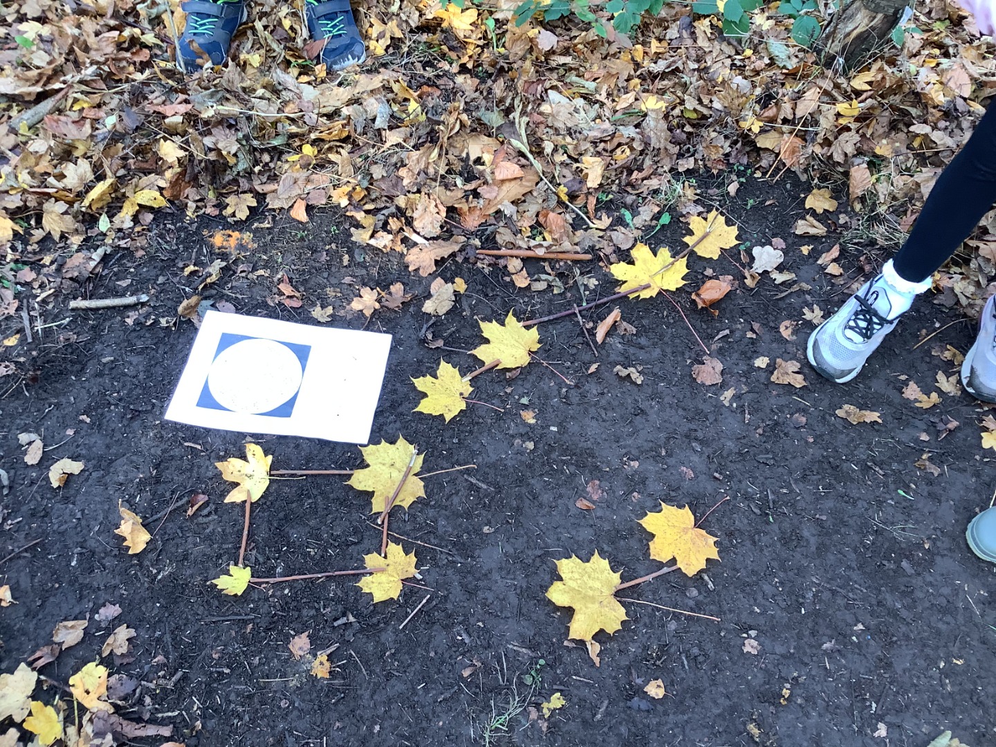 BE230309-7A25-4866-89F1-096AD9109E96.jpeg (1)